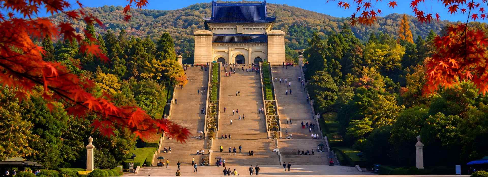 Nanjing music stage with white pigeons and lush woods