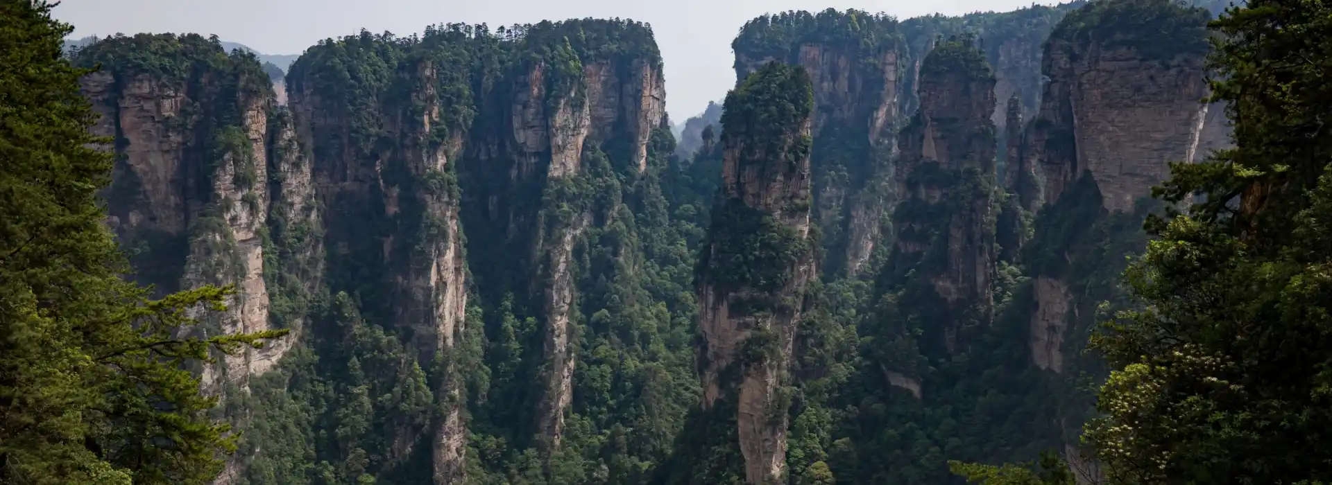 Zhangjiajie National Forest Park with Towering Sandstone Peaks in Zhangjiajie, China