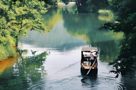 Wooden Boat Cruise Through Lush Green Water Canal Wooden punt boat sailing on tranquil green waterway surrounded by dense woods in Hangzhou