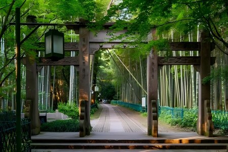 Yunqi Bamboo Path Ancient Archway Forest Sightseeing Yunqi Bamboo Path Ancient Stone Archway Green Bamboo Forest Hangzhou West Lake Hiking Tour