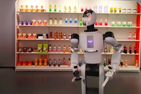 Application Scenarios of Wensan Digital Street Robot Wensan Digital Block Robot Becomes Supermarket Cashier