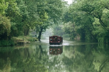 Xixi Wetland Quiet Waterway Boat Scenery Hangzhou Xixi Wetland Tree-lined Canal Boat Nature View