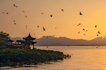 West Lake Sunset View West Lake Sunset with Flying Birds and Ancient Pavilion Hangzhou