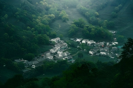 Misty Longjing Tea Mountain Village Ancient village surrounded by vast green tea terraces