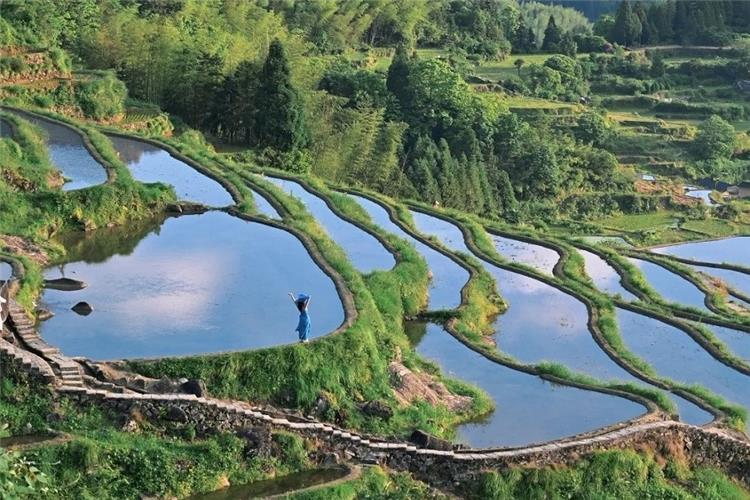 Yunhe Rice Terrace Aerial view of Yunhe Rice Terrace in spring.