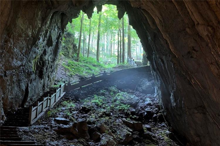 The mysterious cave world within Yaling National Forest Park