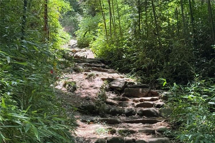 The landscape on both sides of the hiking trail