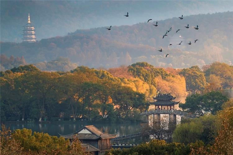 Peaceful morning view of West Lake featuring ancient stone bridge, wooden pavilion and distant Leifeng Pagoda amid autumn woods