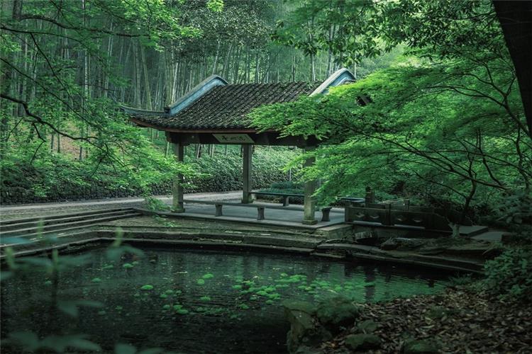 Ancient Pavilion in Yunqi Bamboo Path Traditional Chinese pavilion beside quiet pond surrounded by dense green bamboo and foliage, tranquil Yunqi Bamboo Path landscape