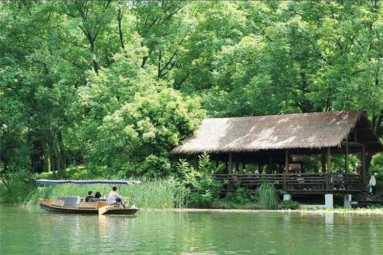 Leisure Boat Trip on West Lake Hangzhou Peaceful green West Lake scenery, wooden sightseeing boat and thatched pavilion surrounded by dense green trees