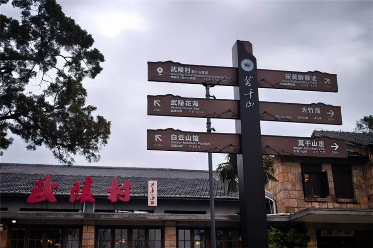 Wuling Village in Moganshan showing vintage villas surrounded by thick green trees