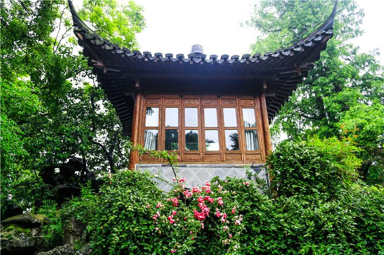Roses in Guo's Villa Guo's Villa in Hangzhou featuring gorgeous roses blooming amid elegant classical Jiangnan garden pavilions and waterscape
