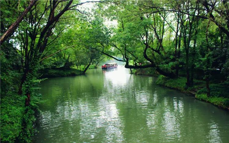 Green Lung of Hangzhou Xixi Wetland Xixi National Wetland Park in Hangzhou featuring crisscross water networks, ancient fishing villages and vast reed marshes amid urban greenery