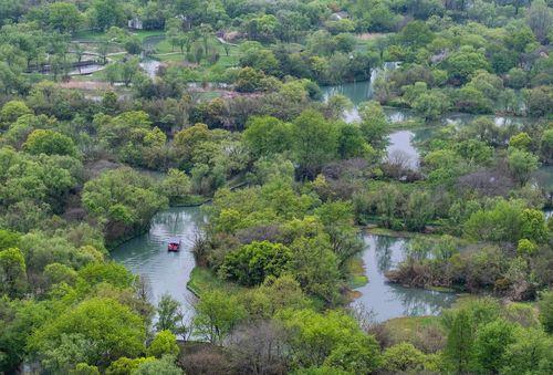 Panoramic View of Xixi Wetland Xixi National Wetland Park in Hangzhou presenting the full panoramic view of crisscross water networks, dense green woods and unique urban wetland ecological landscape