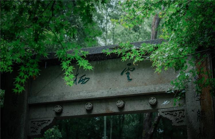 Yunqi Bamboo Path, Hangzhou Bamboo-Lined Path at Yunqi in Hangzhou featuring serene vast bamboo forest, ancient pavilions and tranquil mountain natural scenery