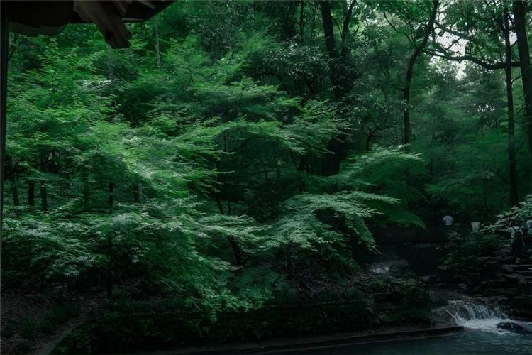 A Bamboo-Lined Path at Yunqi A Bamboo-Lined Path at Yunqi, one of New Ten Scenes of West Lake Hangzhou, featuring boundless tall bamboo groves, ancient bluestone imperial path, murmuring mountain streams and classical pavilions hidden in misty valley