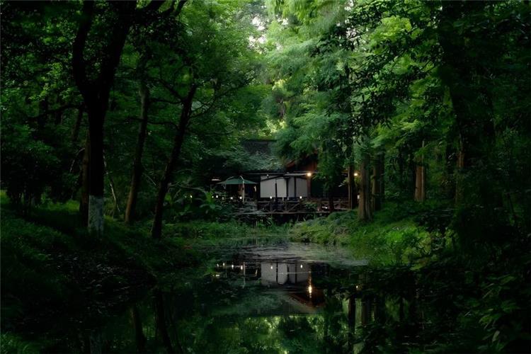 Secluded Forest Waterscape of Guo's Villa Guo's Villa hidden deep in lush green woods beside West Lake Hangzhou, quiet narrow water channel reflecting wooden waterside pavilion, dense layered ancient trees forming a secluded tranquil forest garden with soft warm lamp light mirrored on still water