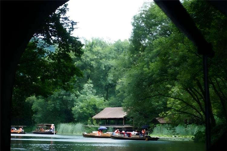 Yuloh Boat Tour at Turtle Pool, West Lake Traditional yuloh boats drifting on quiet Turtle Pool of West Lake Hangzhou, framed through ancient stone arch bridge tunnel, surrounded by lush green forest, thatched waterside pavilions and mirror-like emerald lake water