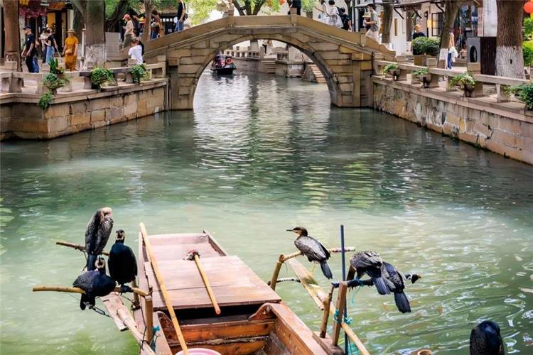 Tongli Ancient Water Town in Suzhou showing classic Jiangnan water town scenery with stone bridges, canals and ancient white-washed houses