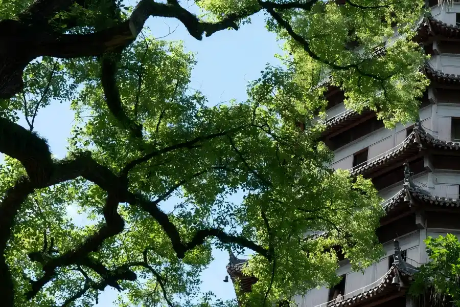 Six Harmonies Pagoda in Hangzhou showing ancient Song-dynasty octagonal pagoda standing on Yuelun Hill overlooking Qiantang River, a famous historic tower for watching river tides