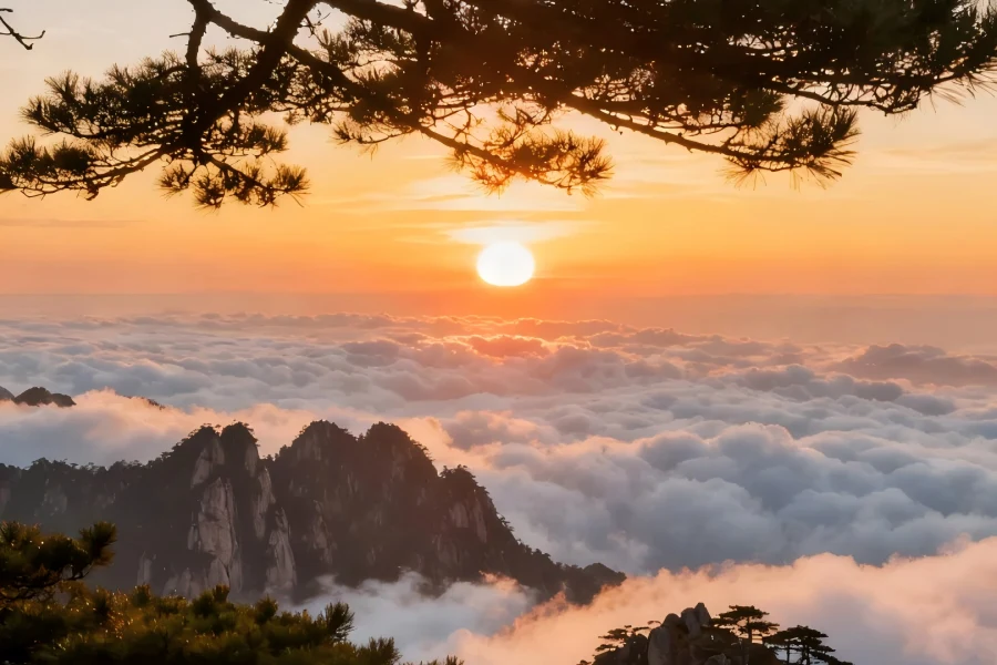 Mount Huangshan Sunrise Scenery Sunrise at Mount Huangshan in Anhui showing golden sunrise glow spilling over jagged granite peaks, floating sea of clouds and iconic twisted Huangshan pine silhouettes, a world-famous mountain sunrise landscape