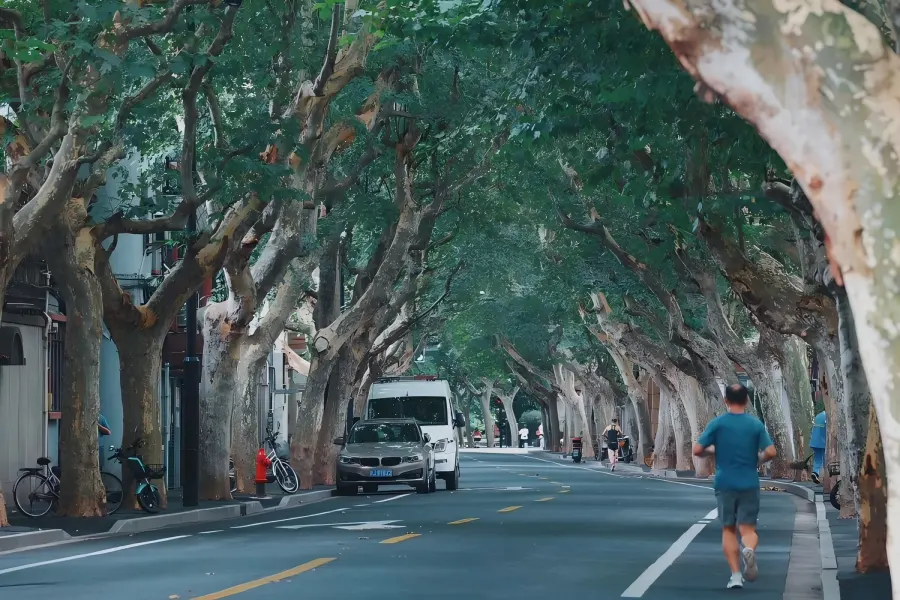 Wukang Road in Shanghai featuring iconic wedge-shaped Wukang Mansion and dense plane tree canopies over vintage European villas from the old French Concession