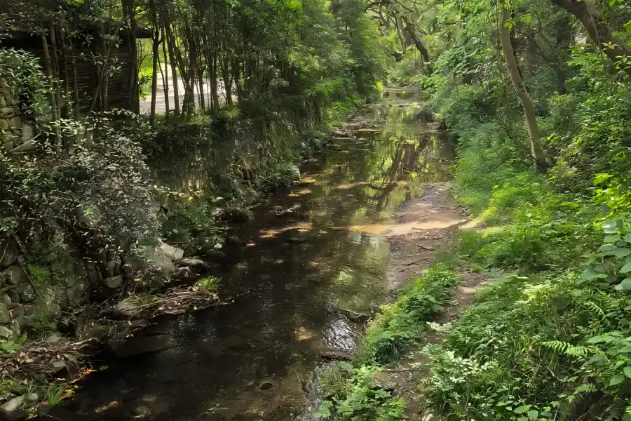 Nine Streams and Eighteen Gullies Nine Streams and Eighteen Gullies in Hangzhou showing winding mountain streams, green bamboo forests and stone paths
2. image title(图片名称)