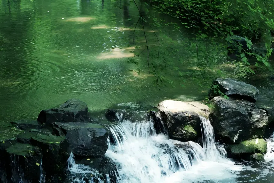 Jiuxi Shibajian Stream Valley Nine Streams and Eighteen Gullies in Hangzhou featuring gurgling mountain creeks shaded by lush green trees