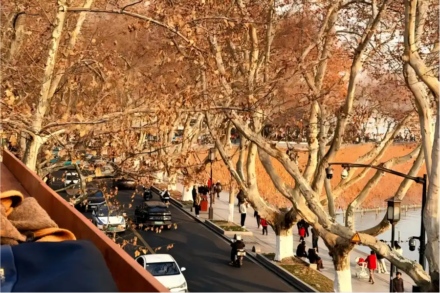 North Mountain Street Beishan Street in Hangzhou lined with ancient plane trees beside West Lake and old republican villas