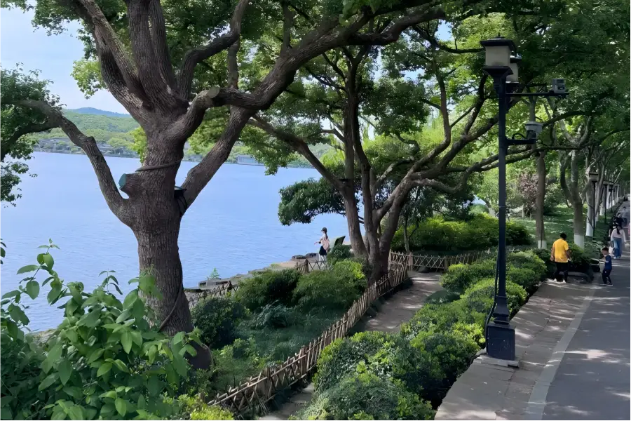 Su Causeway Su Causeway in Hangzhou lined with willow trees spanning tranquil West Lake waters