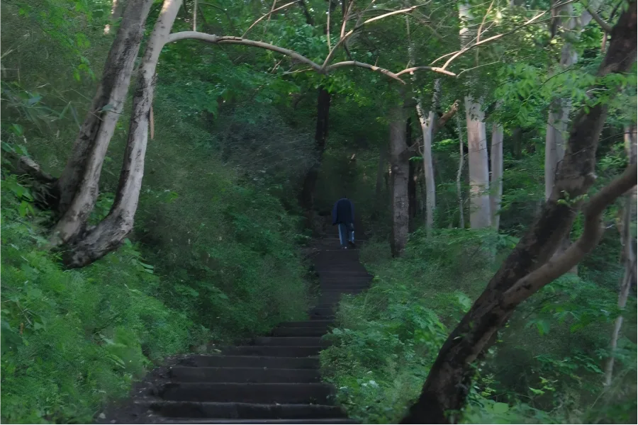 North Peak in Hangzhou showing visitors hiking along stone steps amid lush green mountain woods