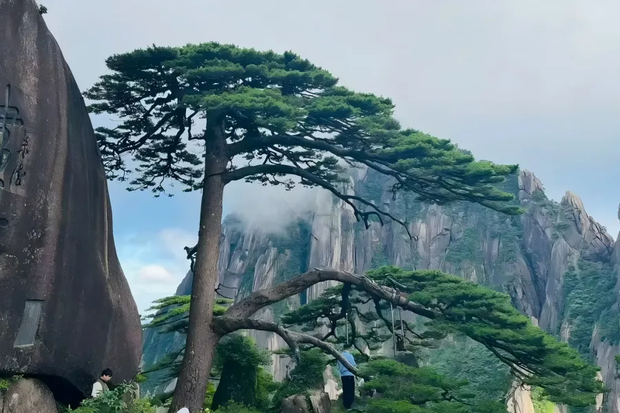Hike to Guest-Greeting Pine, Huangshan Hiking along steep stone trails on Huangshan Mountain to reach the iconic thousand-year-old Guest-Greeting Pine on Yuping Cliff