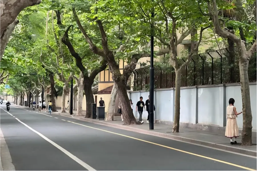 Leisurely street view along Wukang Road, blending romantic European-style buildings and cozy literary cafes