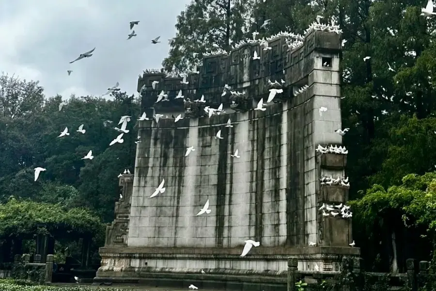 Nanjing Open-air Music Hall Open-air music hall with doves in Zijin Mountain woods