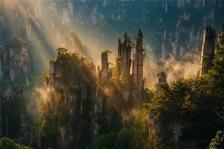 Golden morning light and drifting fog through iconic stone pillars in Zhangjiajie