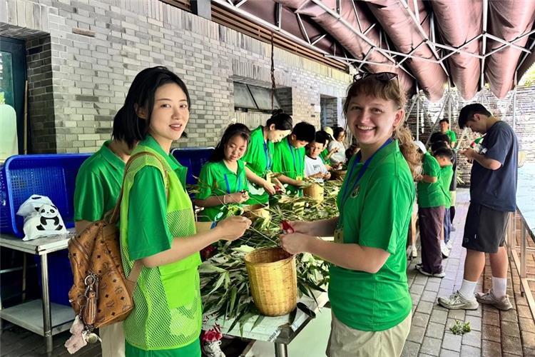 Group of volunteers preparing bamboo food for giant pandas at panda base