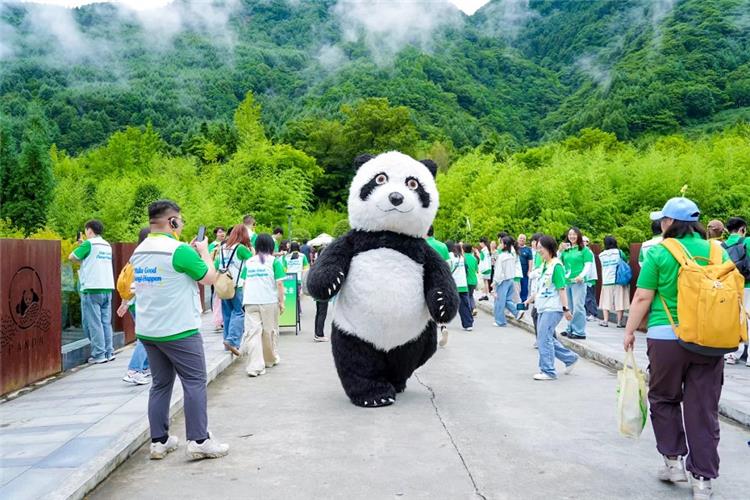 Panda mascot parades with group of tourists in mountain panda reserve