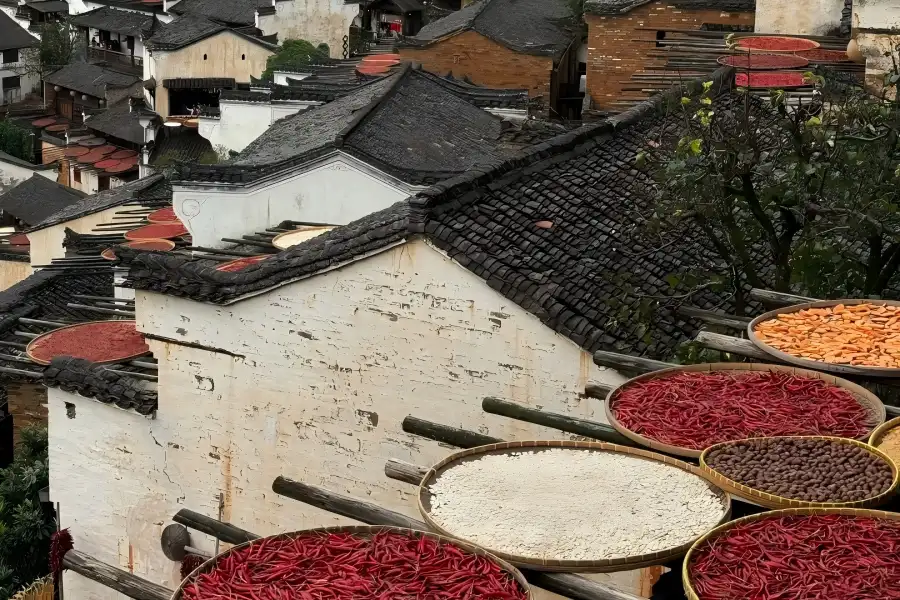 Huangling Village in Wuyuan showing famous Shai?qiu autumn sun?drying harvest scenes on Hui?style ancient rooftops