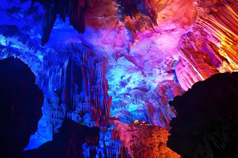 Reed Flute Cave Reed Flute Cave in Guilin showing the famous State?Guest Cave, magical underground scenery with multi?colored lighting highlighting unique rock landscapes