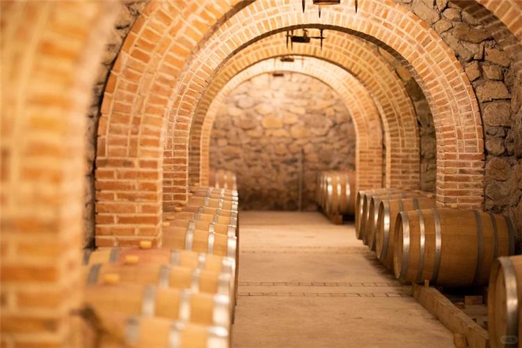 Wooden Wine Barrels in Brick Arched Wine Cellar Rows of oak wine barrels stored inside vintage brick?arched underground wine cellar