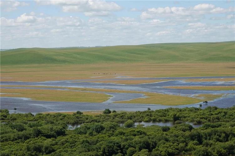 Panoramic view of grassland wetland with branching waterways, dense forest and rolling hills under cloudy sky in Inner Mongolia