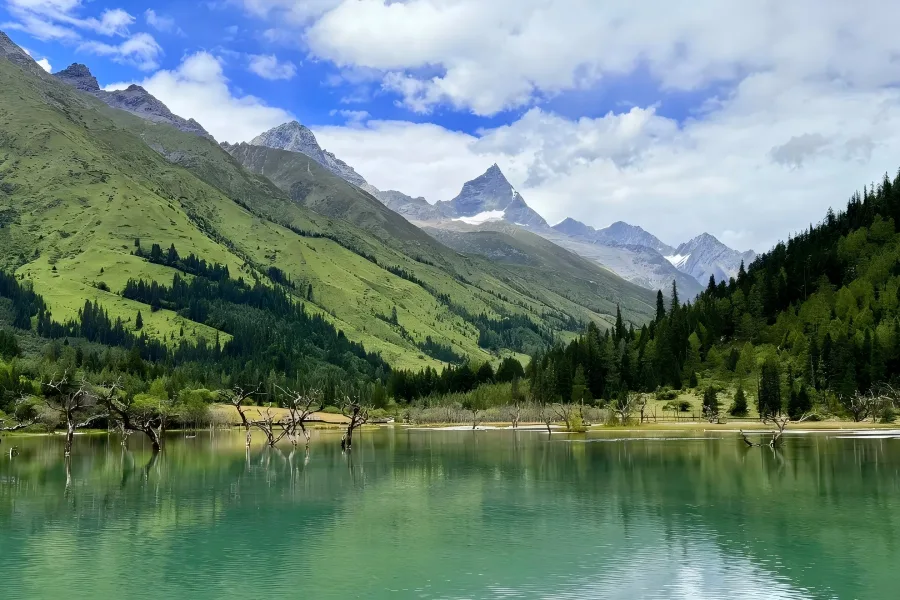 Shuangqiao Valley Scenic Spot Snow mountains and forest valleys in Shuangqiao Valley, Siguniang Mountain scenic area