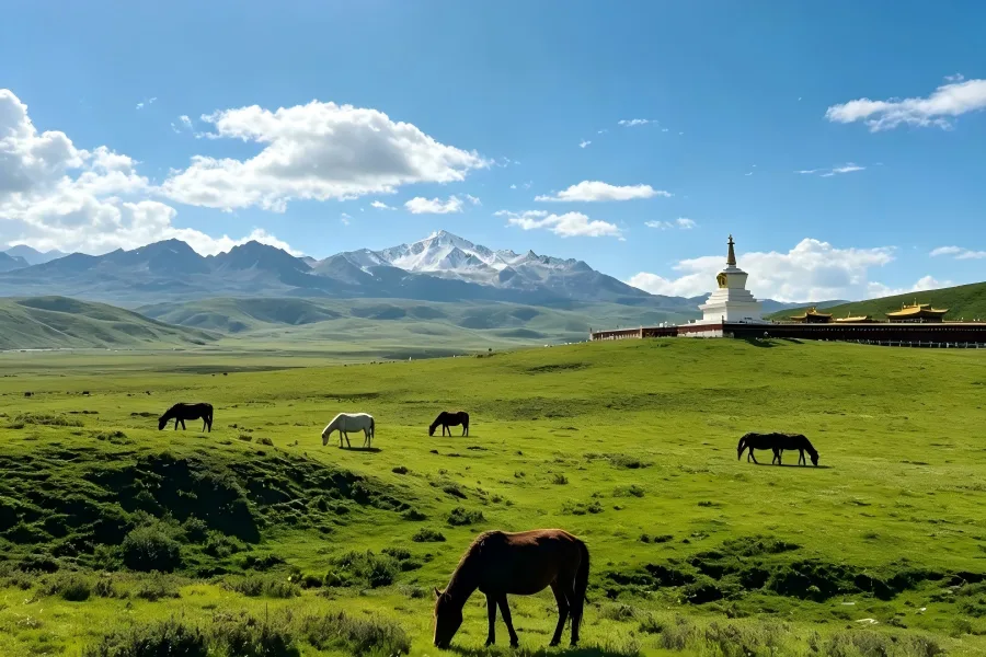 Tagong Grassland Scenic Spot Broad alpine meadow with Tibetan temples, Tagong Grassland scenic area
