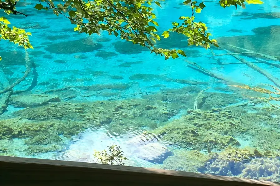 Jiuzhaigou Valley,Sichuan Jiuzhaigou Valley, world?natural?heritage scenic spot with turquoise alpine lakes and cascading waterfalls, Sichuan