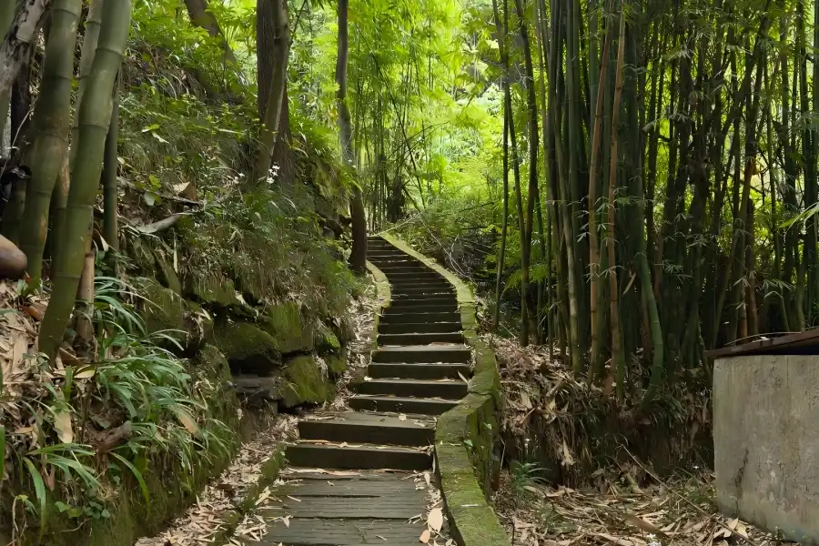 Forested Lingyun Mountain Heritage Site Lingyun Mountain in Leshan showcasing lush forested hilltop with ancient Lingyun Temple overlooking the three?river junction