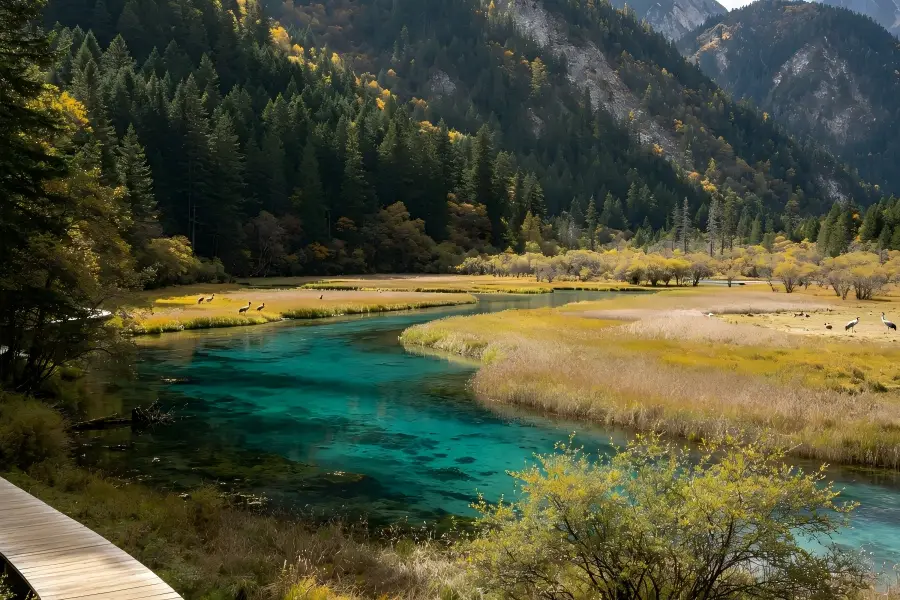 Jiuzhaigou Wildlife Habitat Reserve in Aba uncovering vast primeval forests serving as home for golden?haired monkeys and other rare mountain fauna