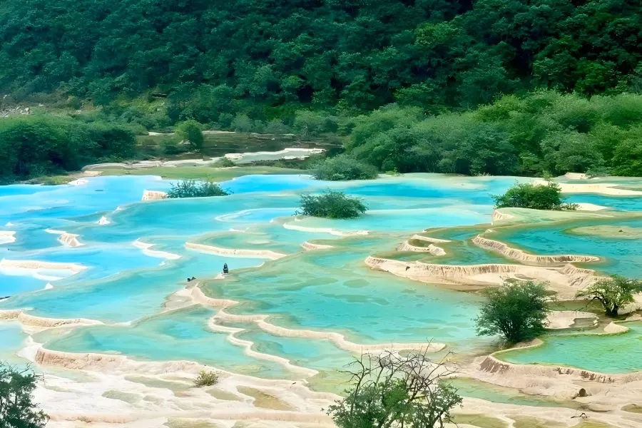 Five?Color Pond in Jiuzhaigou unfolding crystal?clear multi?toned alpine pool shimmering with sapphire, emerald and turquoise hues, embraced by dense primeval mountain forest