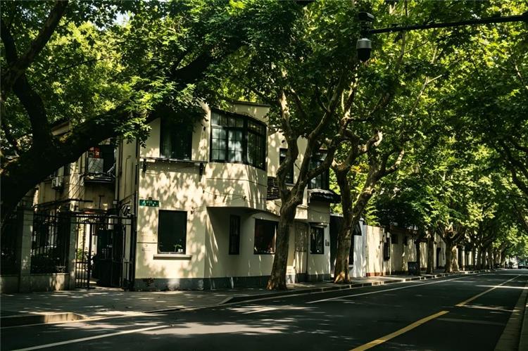 Shanghai Former French Concession old street