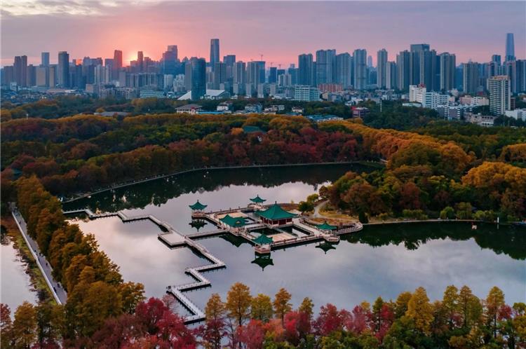 Sunset scenery of Wuhan East Lake park