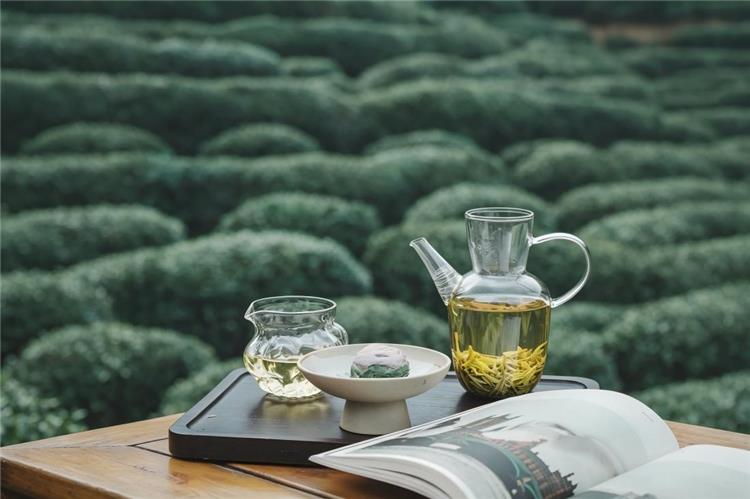 Hangzhou Tea Plantation Leisure Moment at Hangzhou Tea Plantation